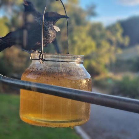 Catlins Lake Sanctuary Owaka Zewnętrze zdjęcie